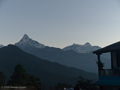 Sonnenaufgang bei Dhampus mit Machapuchare und Annapurna IV